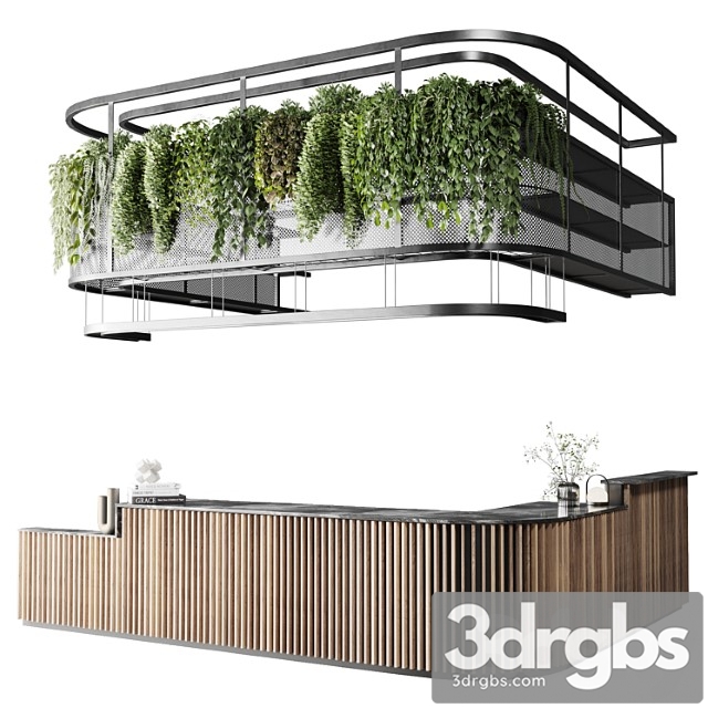 Coffee Shop Reception Restaurant Counter by Hanging Plant 03