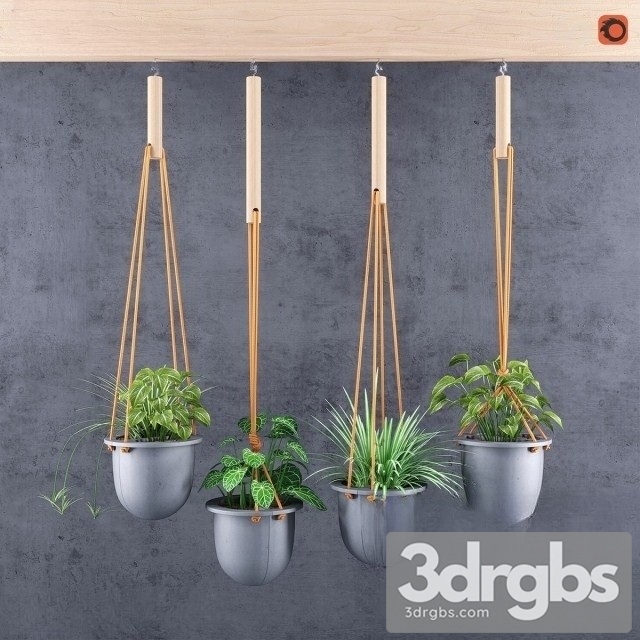 Wall Mounted Plant Pots