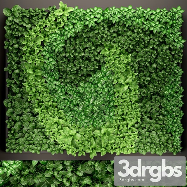 Vertical garden 14. vertical garden, green wall, phytomodule, eco design, picture of flowers, plants on the wall