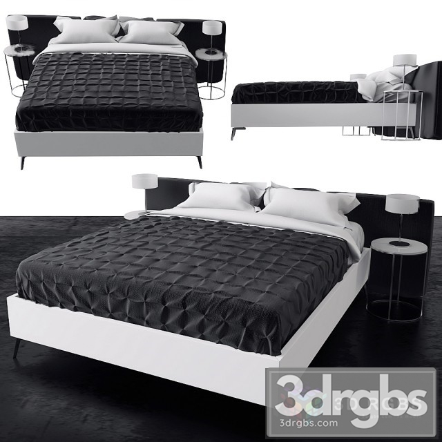 Moderm Bed