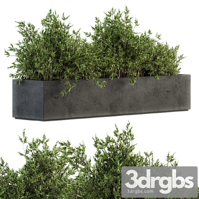 Outdoor Plants Tree In Concrete Box Set 126