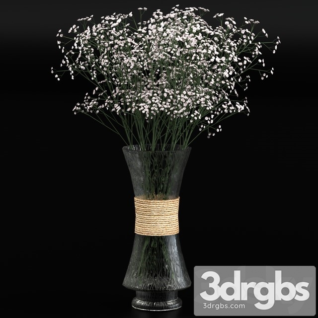 Bouquet of Gypsophila