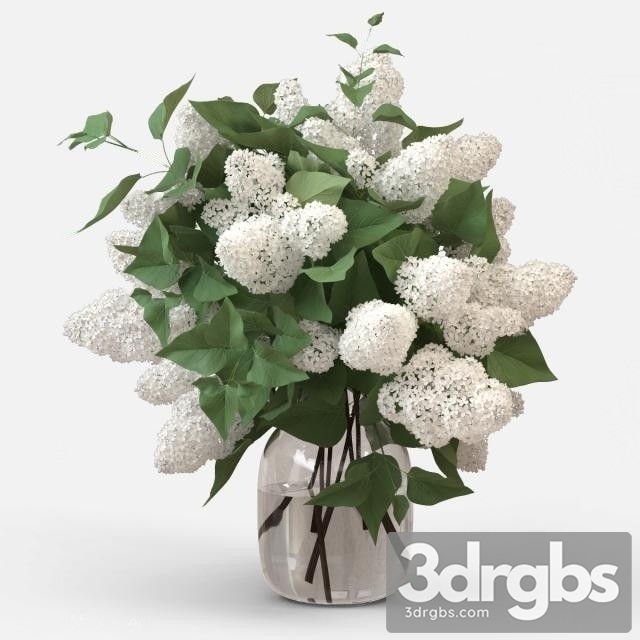 White Lilac Bouquet