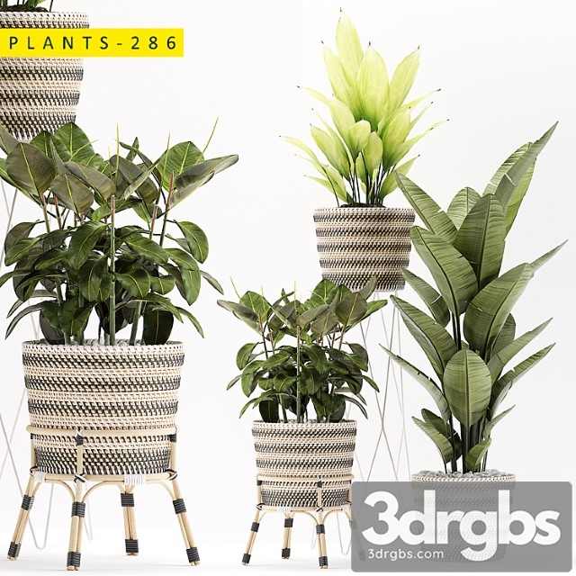 Plants 286