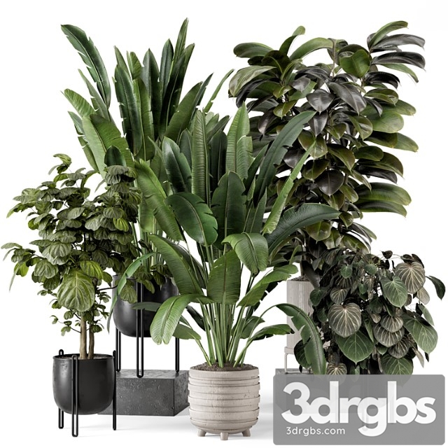 Indoor plants in ferm living bau pot large - set 1208