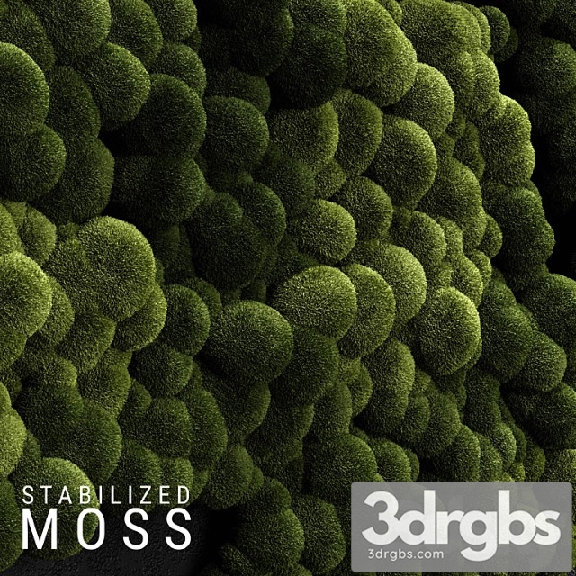 Stabilized moss 3