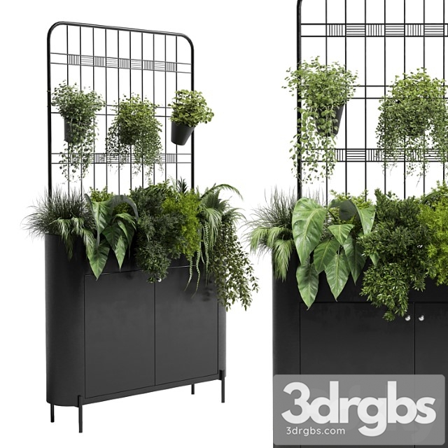 Stand Wall Decor With Shelves For The Library and Closet or Showcase Plants Collection 175
