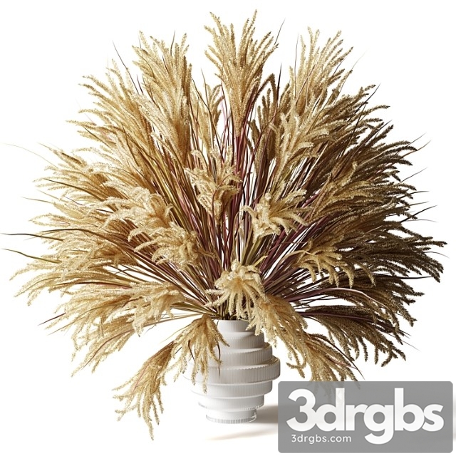 Fluffy bouquet of dry grass with tails in a glass white vase