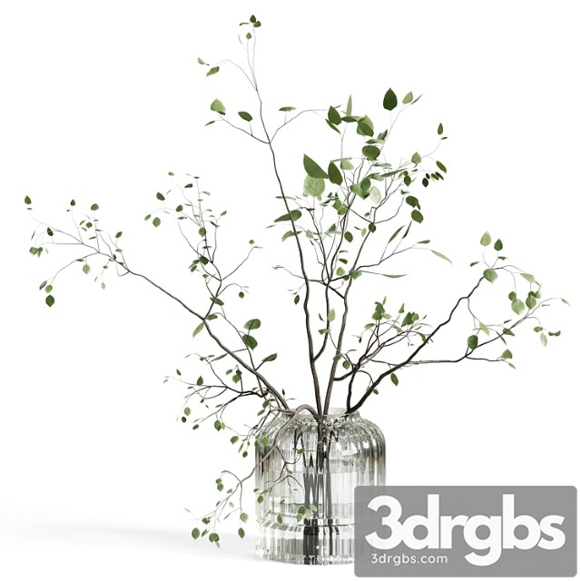 Branches Plant With Galss Vase White Bouquet 22