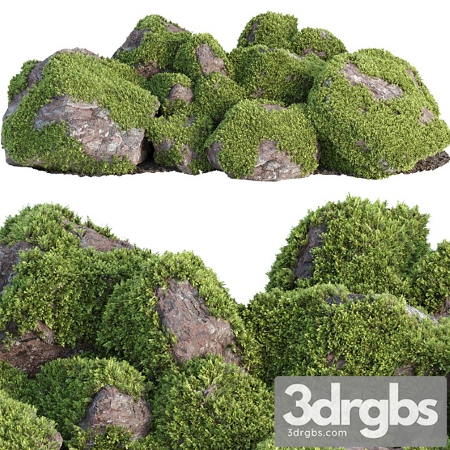 Mossy rock garden collection vol 140