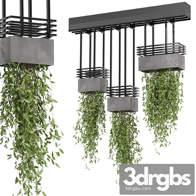 Indoor hanging plants in metal box  - set 682