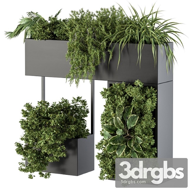 Plant box on wall - indoor plants 300
