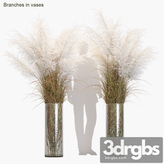 Branches in Vases 5