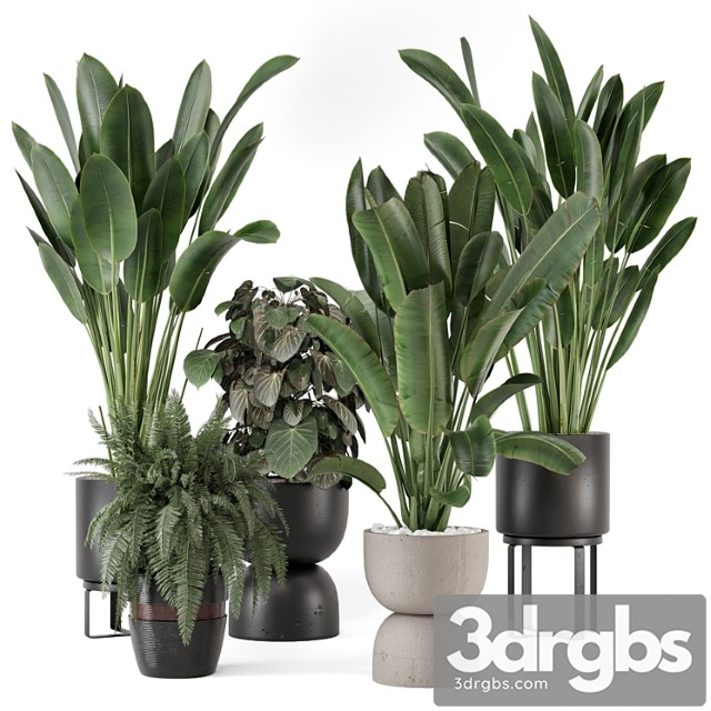 Indoor Plants In Ferm Living Bau Pot Large Set 1256