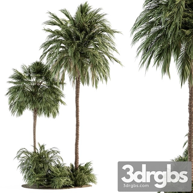 Garden set tropical plants - garden set 28