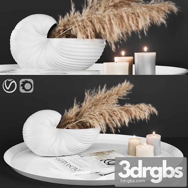 Decorative set A decoratively artificial pampas flower 02