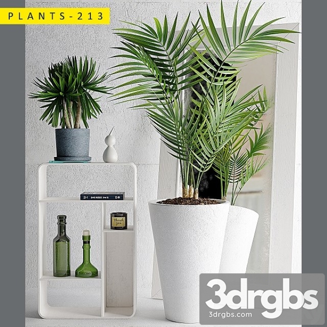 Plants 213
