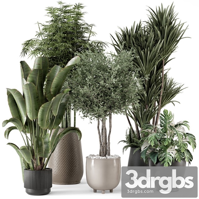 Indoor Plants In Ferm Living Bau Pot Large Set 1325