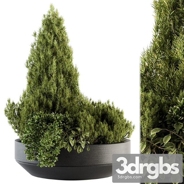 Outdoor plants garden - set 142