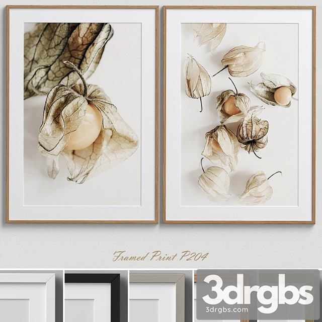 Framed print p-204