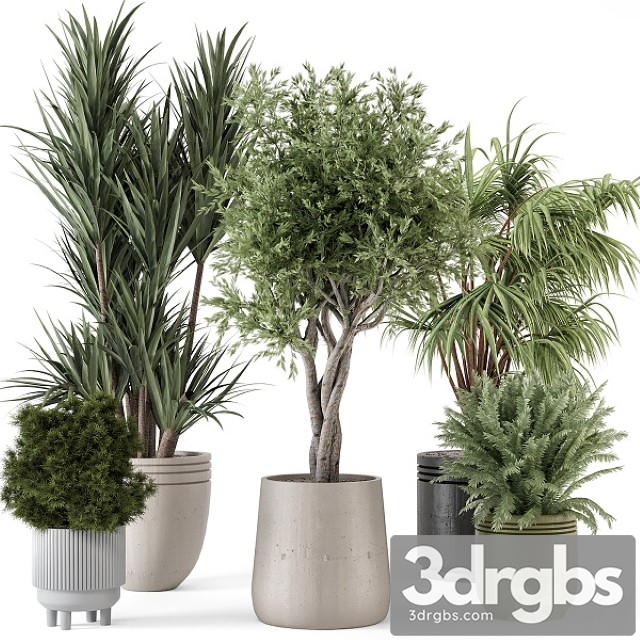 Indoor Plants in Ferm Living Bau Pot Large Set 817
