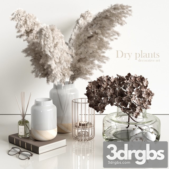 Decorative Set with Dry Plants