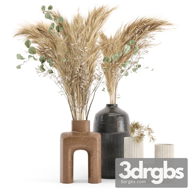 Dry plants 19 - dried plantset pampas with concrete vase