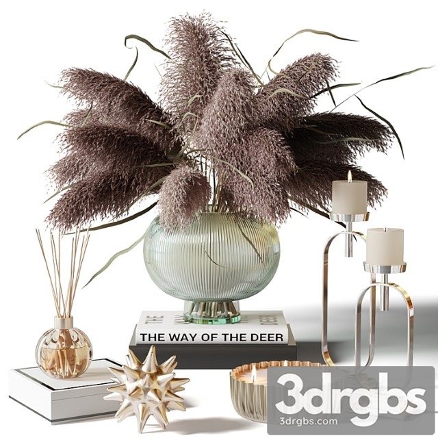 Dry herb in a glass vase - decorative set