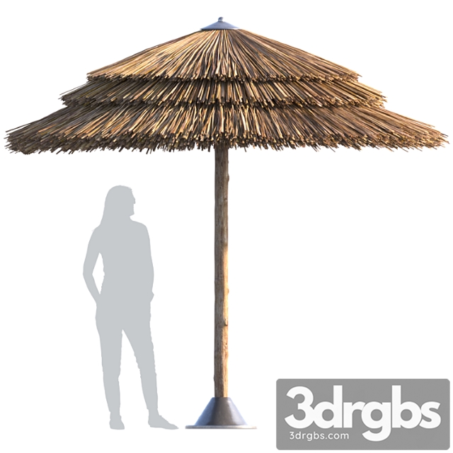 Beach umbrella