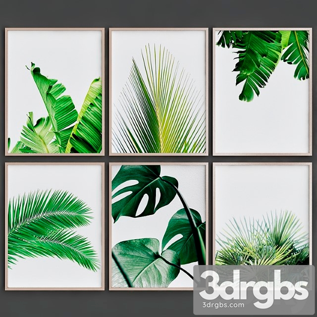 Tropical leaves