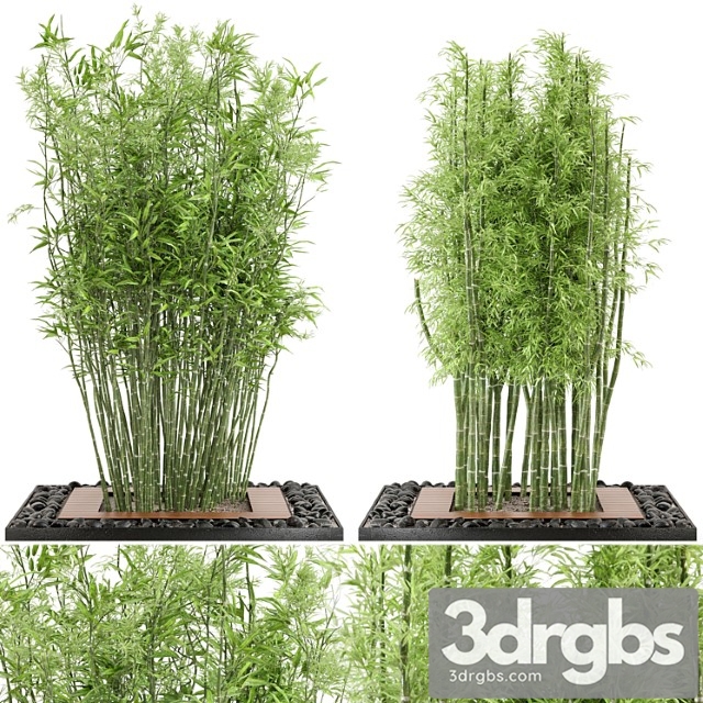 Outdoor plants bamboo set garden set 21