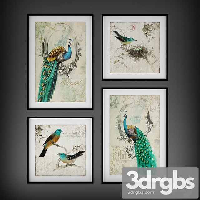 Collection of Paintings Birds