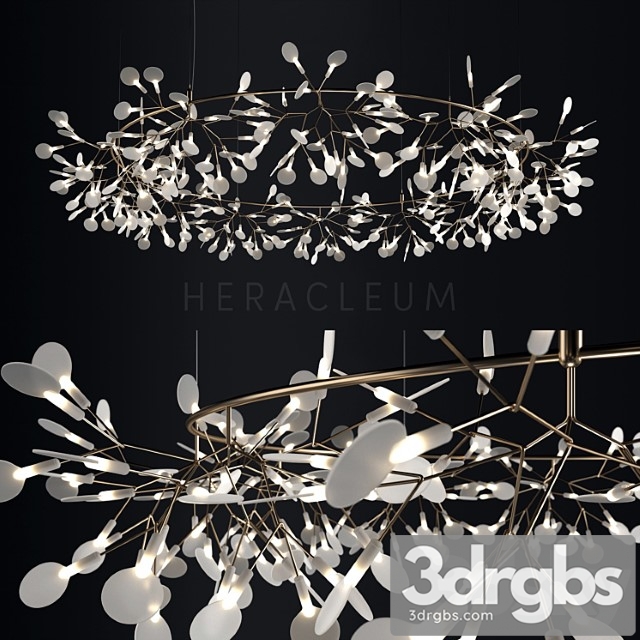 Chandelier Moooi Heracleum The Big O