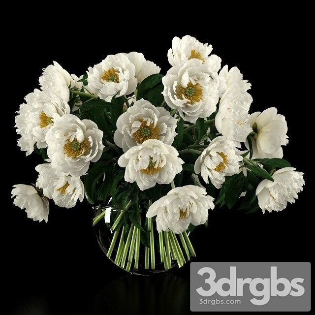 White Peonies Bouquet