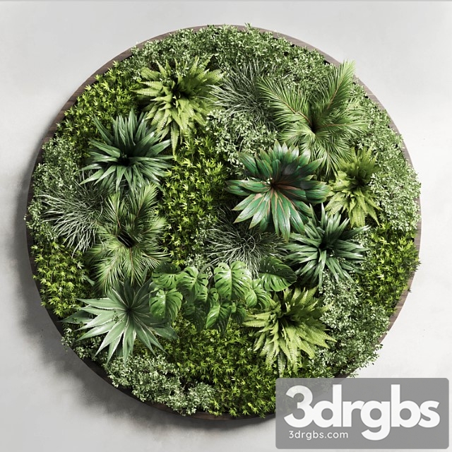 Circular fitowall - standing garden - vertical garden from indoor and outdoor plants collection 13t collections