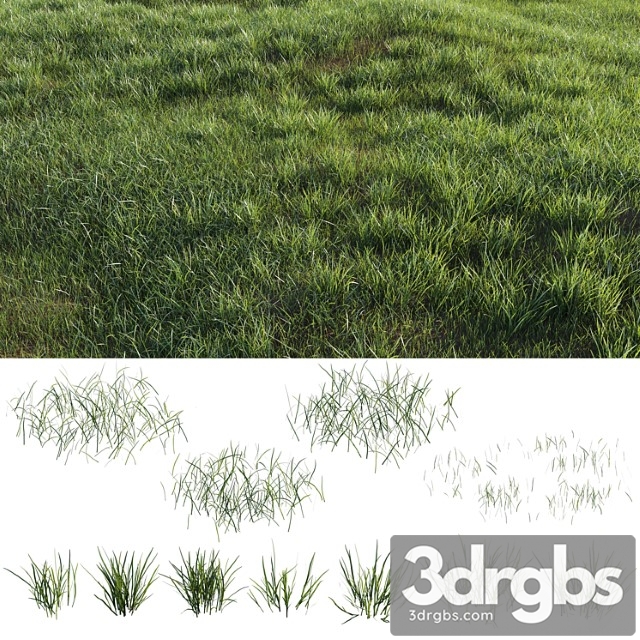 Grass-plot