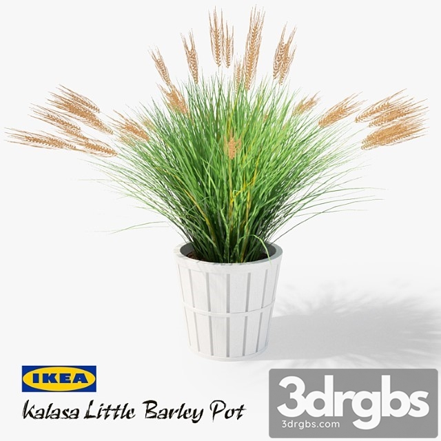 Ikea Kalasa Plant Pot And Little Barley