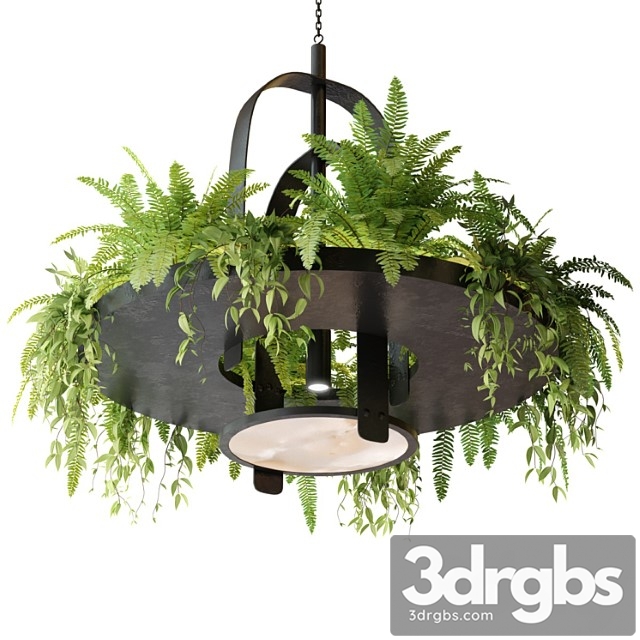 Hanging lamp with plants