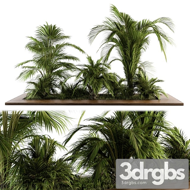 Outdoor plants tree tropical garden - set 143