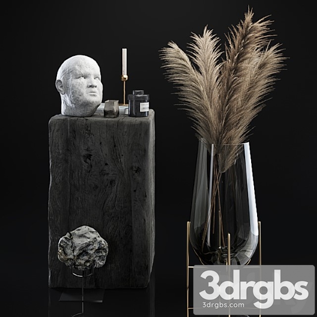 Decorative Set 5 With Dried Plants
