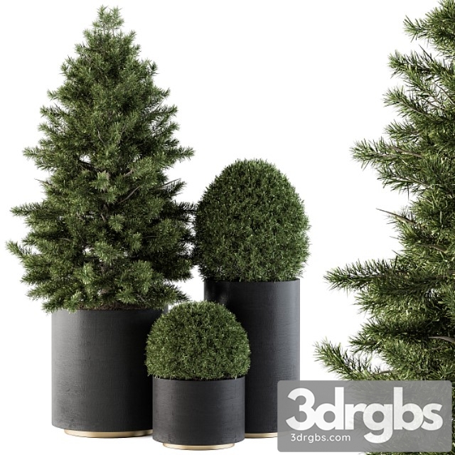 Outdoor plants tree in concrete pot - set 110