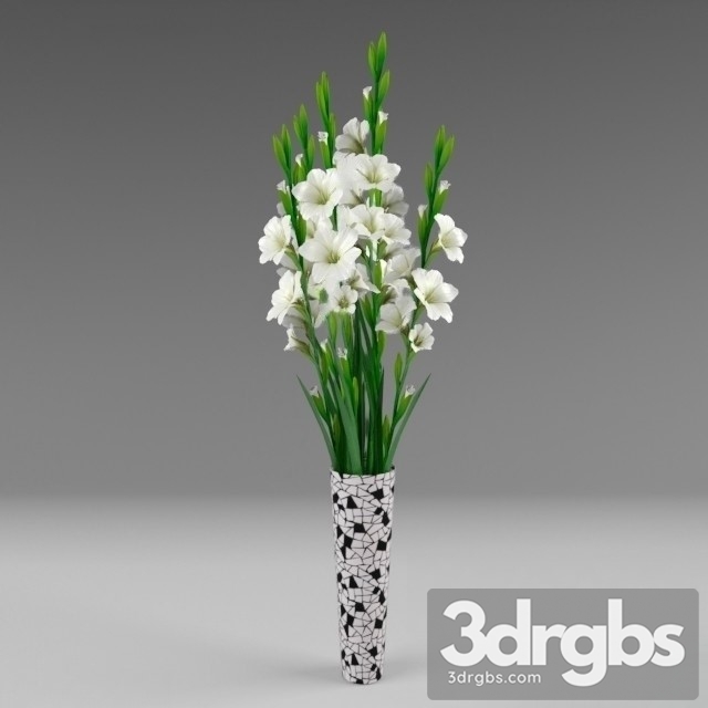 Gladiolus Bouquet