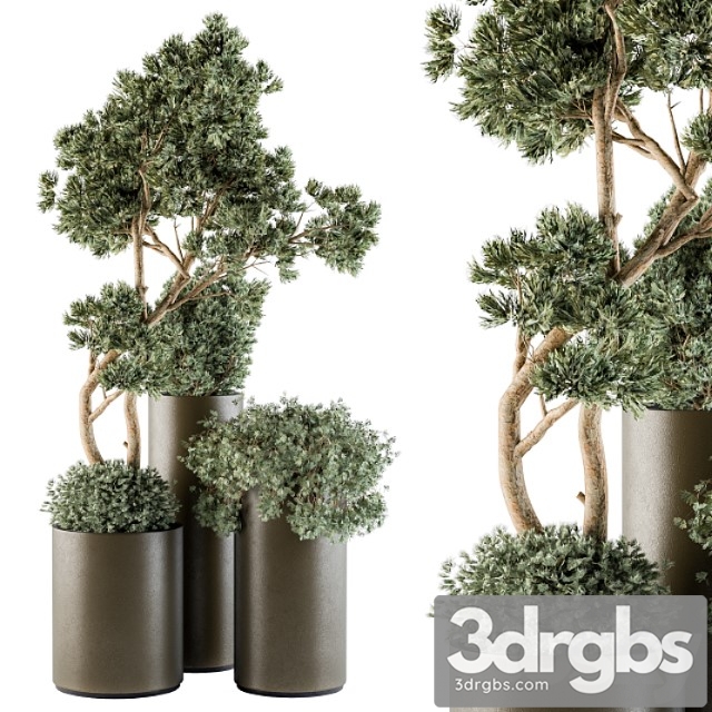 Outdoor plants tree in metal pot - set 102