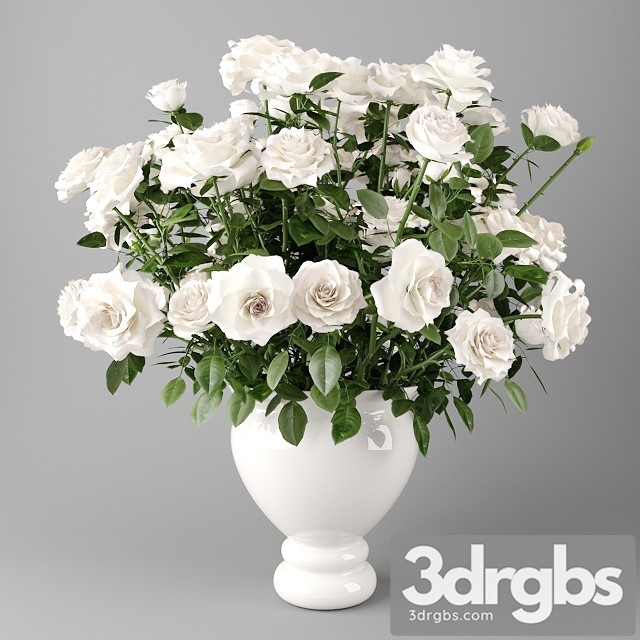 White Roses in a White Vase