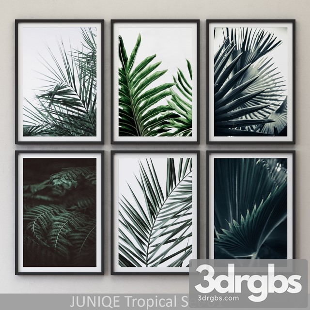 Tropical Set 1 Framed