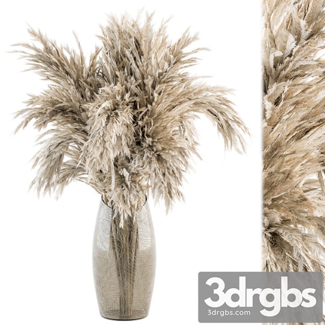 Dry plants 47 - dried plant pampas bouquet