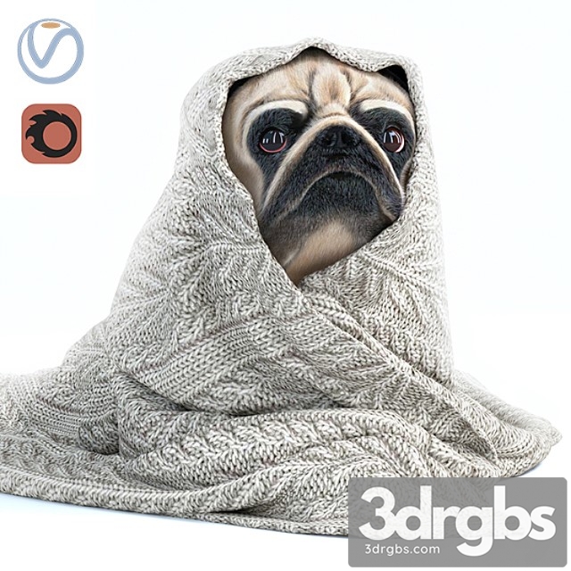 Creature Pug 1 - winter is coming