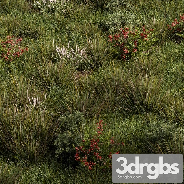 Nature meadow - grass set 17