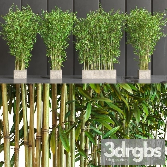 Wall Bamboo Set