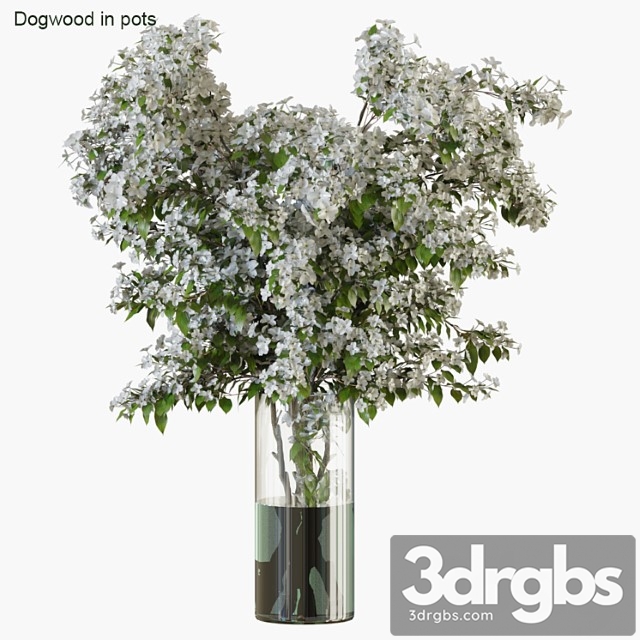 Branches in vases 34